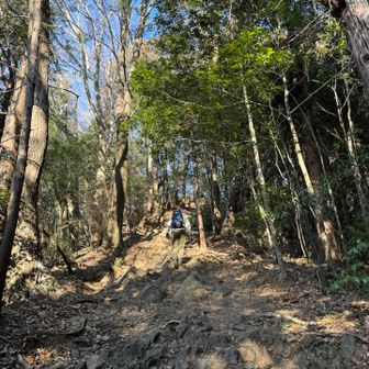 山頂手前は岩岩