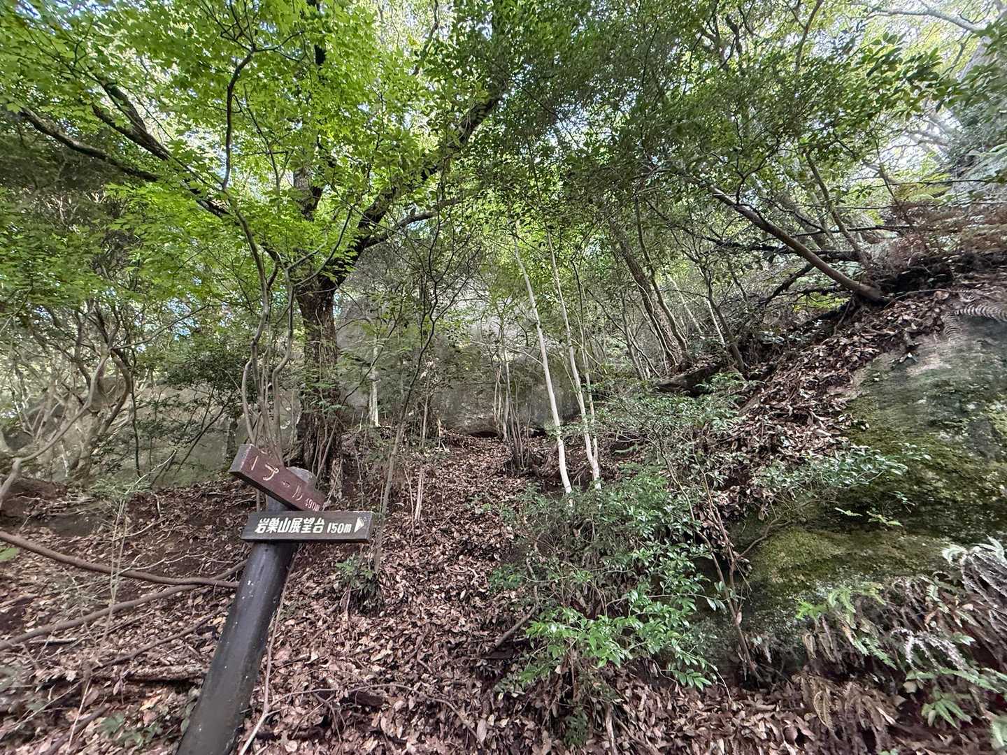 元岩巣山-岩巣山 往復コースの写真