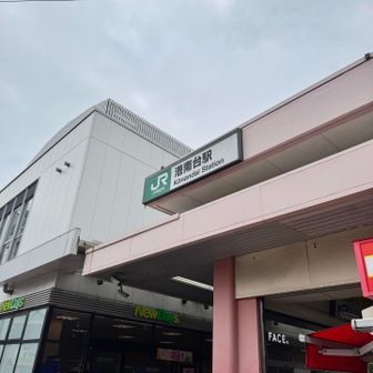 直ぐに電車が来るので、ずっとジンジンする足で頑張って向かいました。
　大船駅で乗り換えて藤沢駅まで。本日も遅延してました。それでも運行してくれていたので感謝です🙏

ちなみに帰りは🚅で‥こだまでのんびりと、時間を贅沢に使います。だから明日の朝は頼みますよ🙏東海道線。

自己満足で始めた「いろは歌で山巡り」も、最後の『す』を除くと残り10座となりました。
　次の予定である8月のBirthday登山⛰️が無事終わると、いよいよ最終章に突入したりしなかったり‥自分の脚力&年齢と相談しつつ、ぼちぼち進めて行くつもりです。

それでは本日もありがとうございました。

※『き』🔄『え』🟰えき‥駅
　　　　　お後がよろしいようで🙇‍♂️