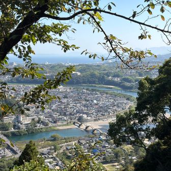 錦帯橋が見える