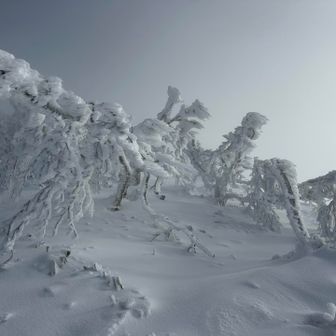 エビだらけ…
これが青空🟦なら映えるのにぃ⤵️( ´•̥̥̥ω•̥̥̥`)
