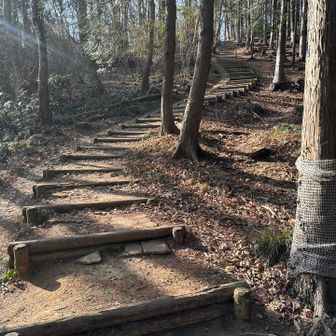 風もないポカポカ陽気