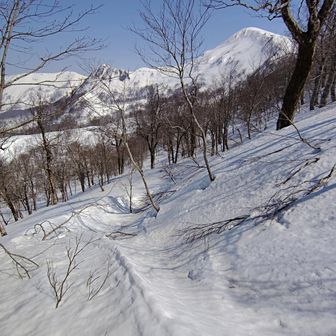 　おおっっっ‼️峠からすぐ庄内側の六十里越街道です。なんかしらんが感動が全身を駆け巡って収まらなくて、またもやジワる🥹
