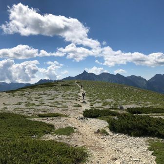 かぶとむし柔道