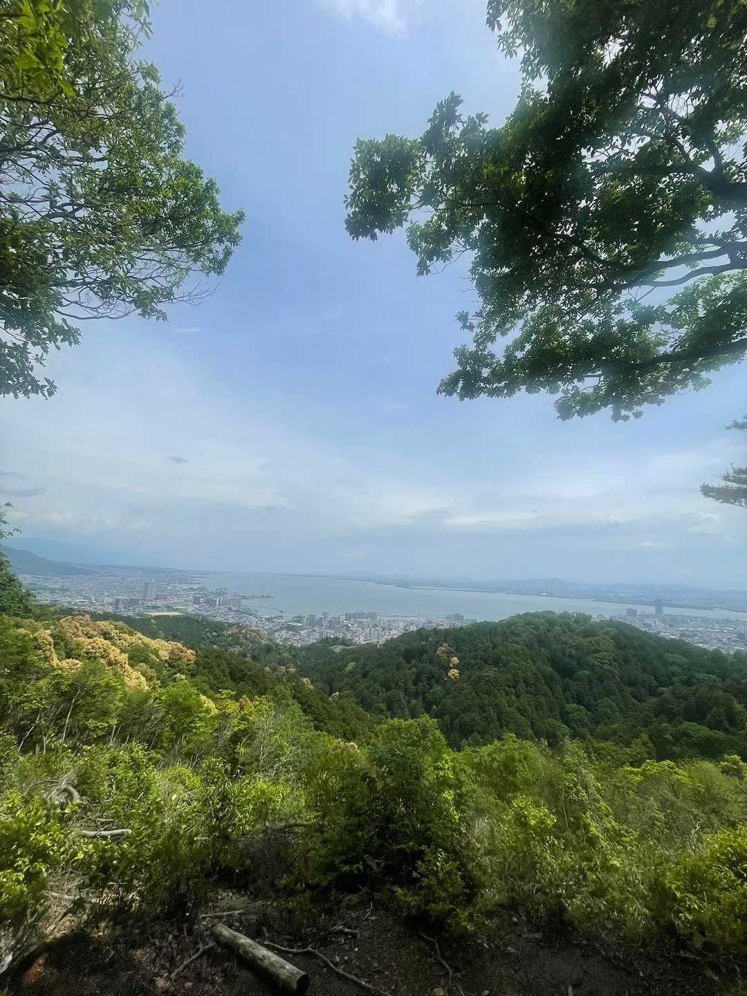 逢坂山 往復コースの写真