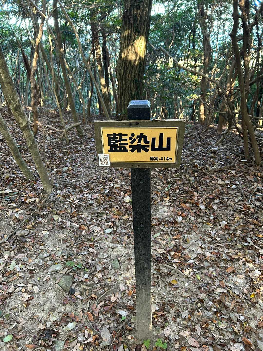 藍染山⛰️今まで何かの地図で見た記憶から「あいせんさん」だと思っていましたが、YAMAPや徳島の山という本では「あいぞめやま」になっていました。どちらが正式名称なのか•••混乱しつつ休憩☕️