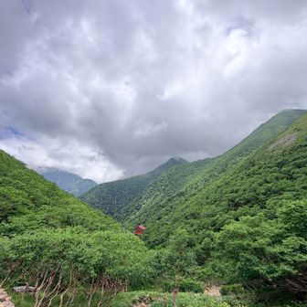 やっと見えた百間洞山の家
