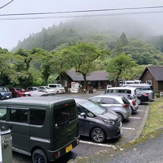 キャンプ場には多くの車が