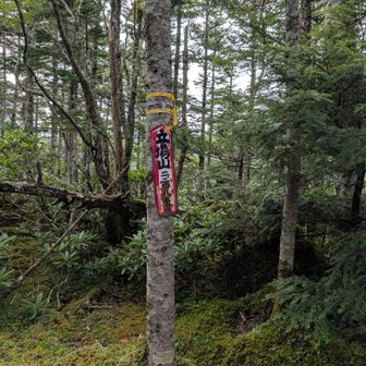 立場山」「たつばやま」です