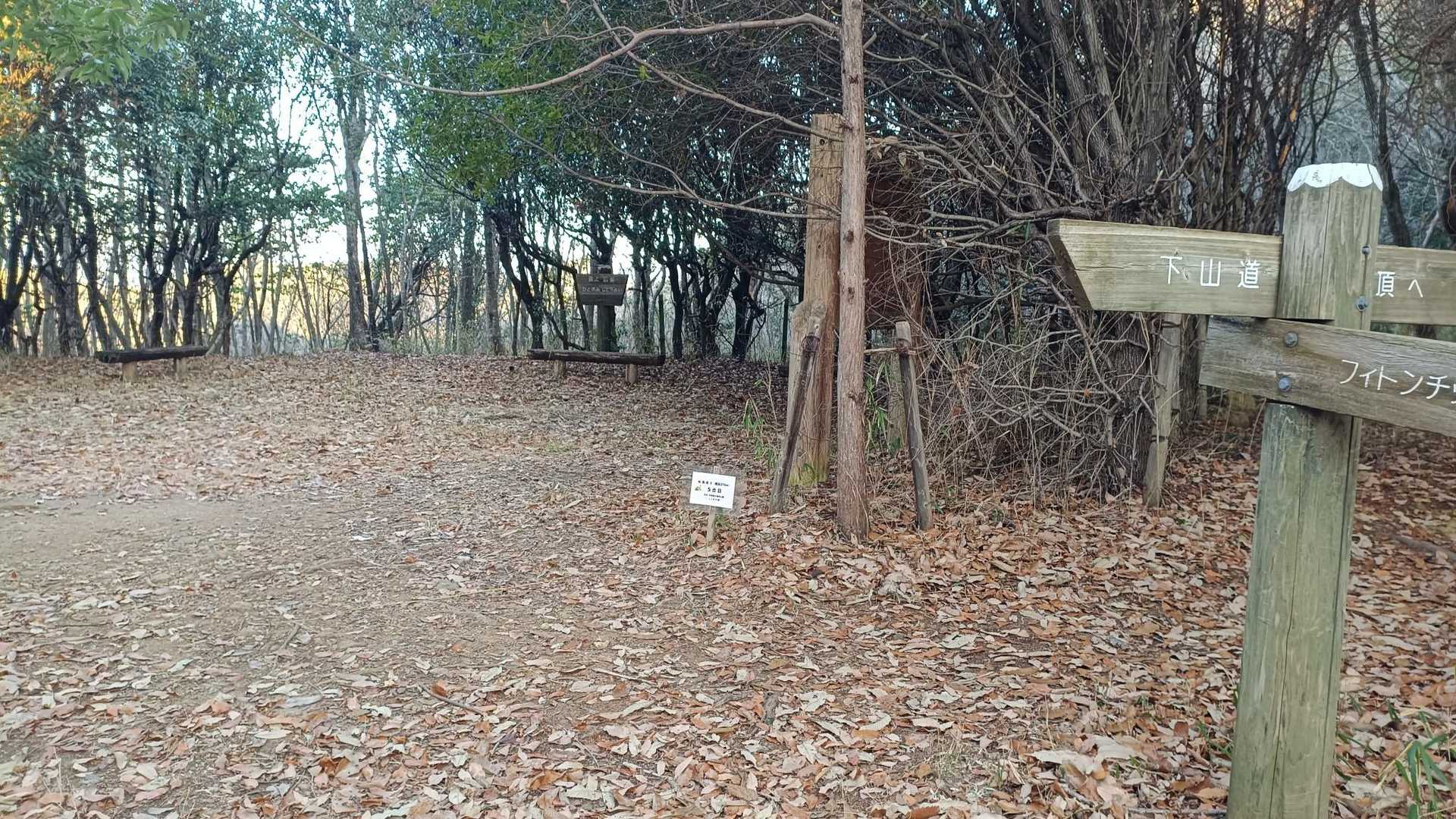5合目