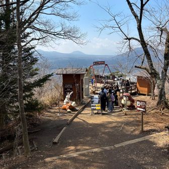 ブランコあったよ。なんで山に沢山人いるの？