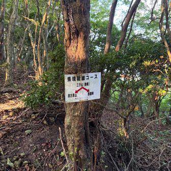 まっすぐ行くと南峰
三子山北峰へは左⬅️に向かって歩くよ