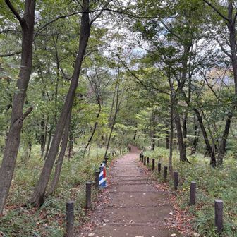 中山と前山の方向に一旦下る。
中山は無線の方が陣取っていたので通過。