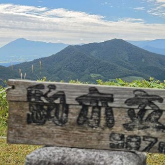 6年ぶりの駒木立🙌