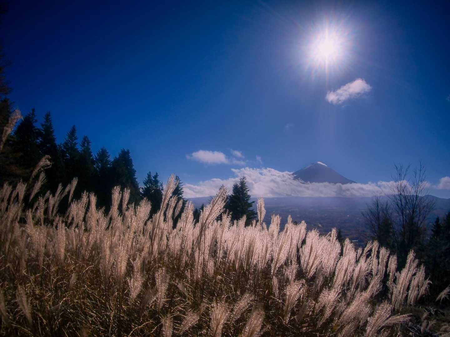 【縦走】足和田山（一本木バス停・紅葉台バス停）の写真