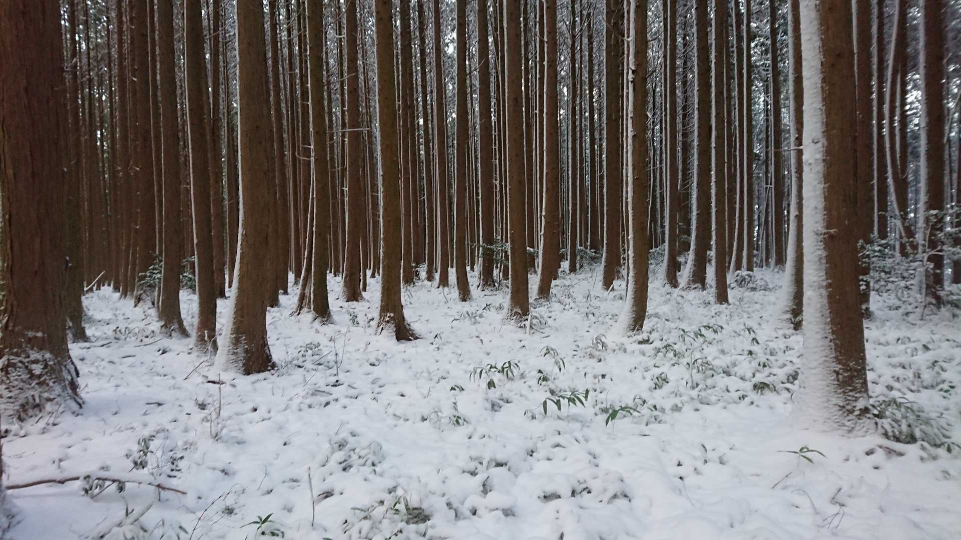 鬼石山頂上