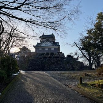 お天気良くて、沢山の方が散歩されていました♪