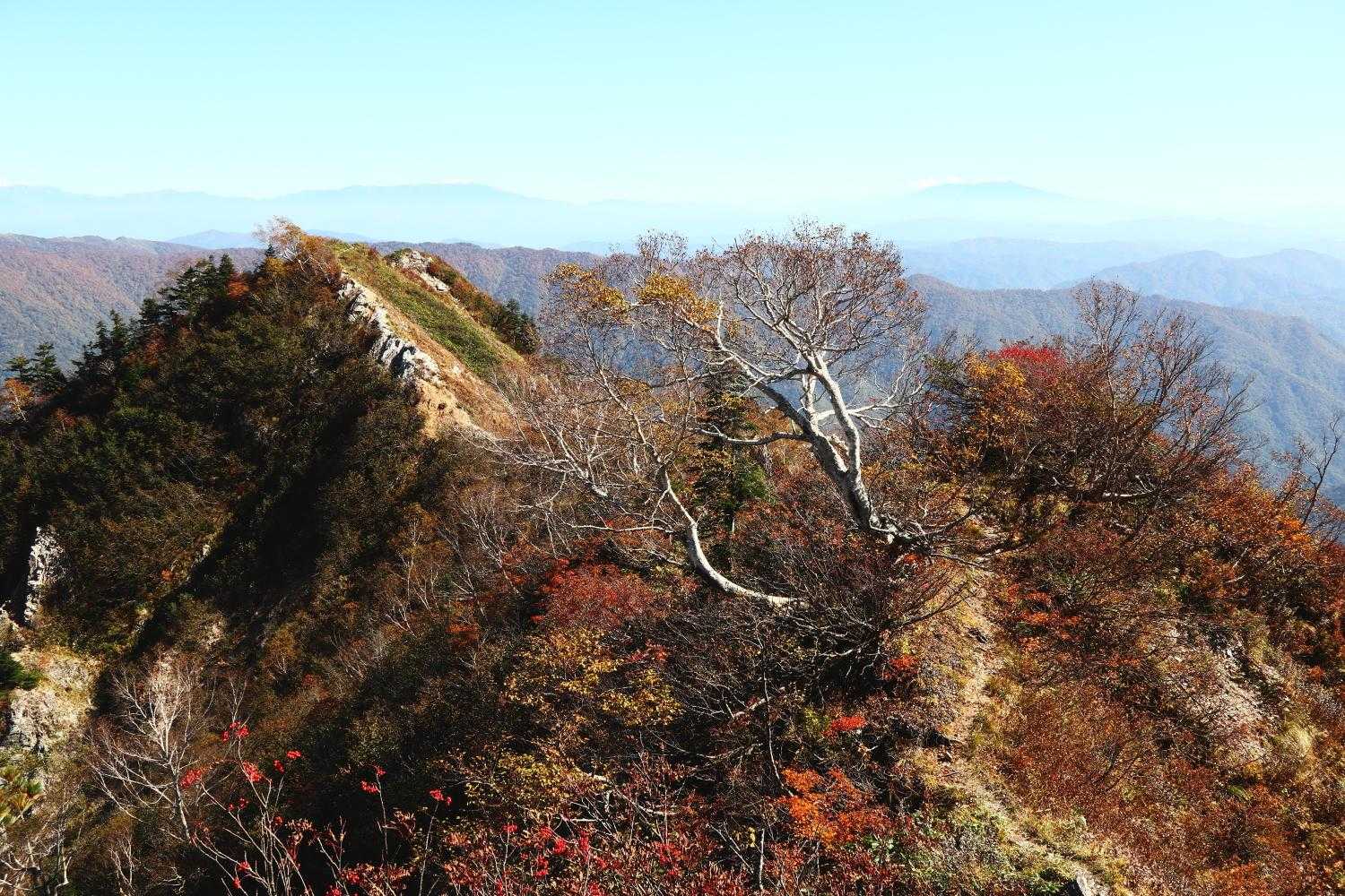 大変な道だけど、景色は最高！