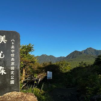10分で美し森
右奥に赤岳を望む⛰️
遠いね