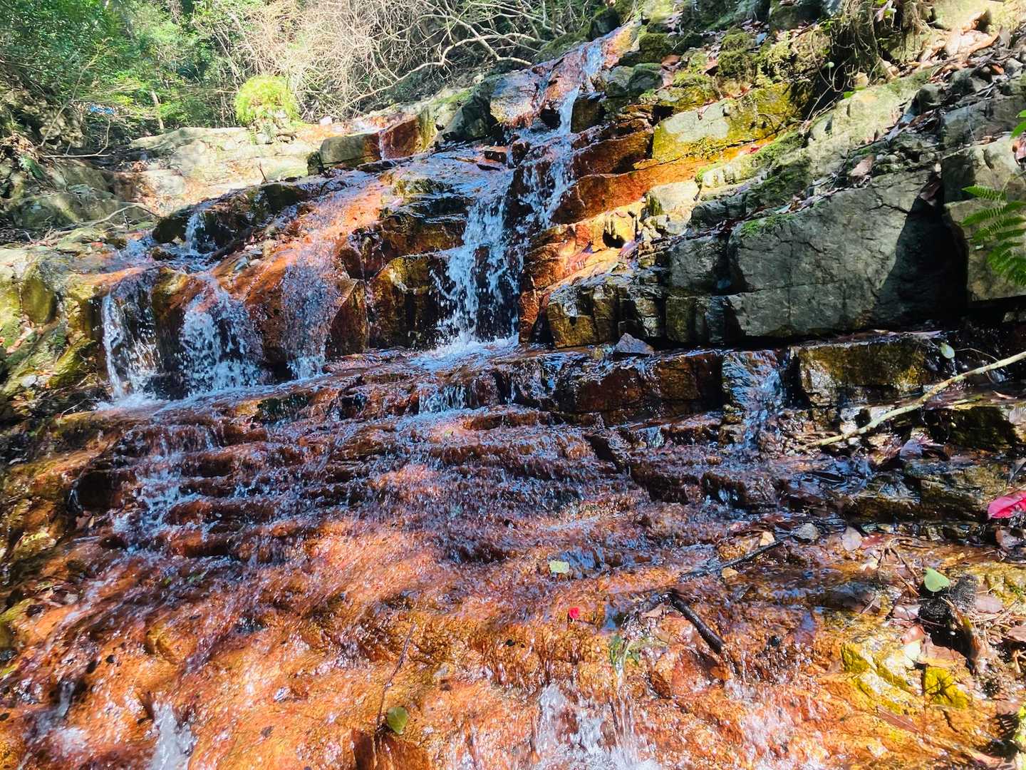 杣谷峠-摩耶別山 周回コースの写真