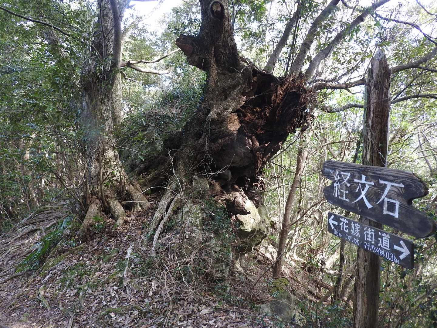 経文石