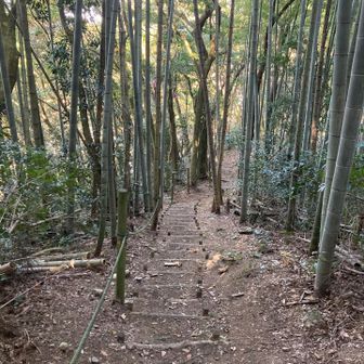あのままにはしておけないので
全部回収、持って帰って捨てます🗑️