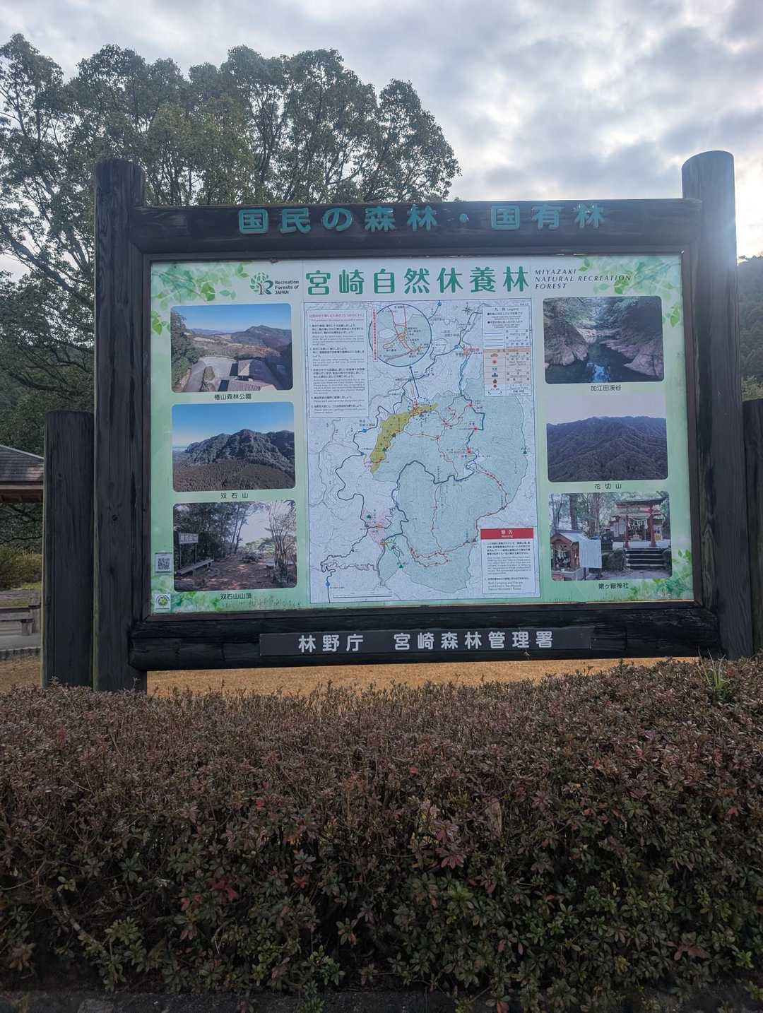 案内