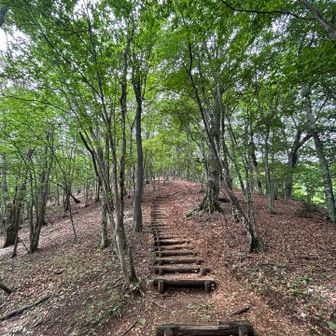 降りは階段が多いです。