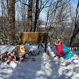 ピークちゃく✨周回したかったけどノートレースでシュー壊れたし、午後から予定があるのでピストンすることになりました😭
周回は次回のお楽しみにします🤭