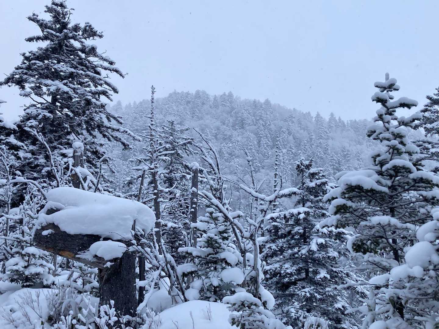 終始雪が降る中、山容が♪
