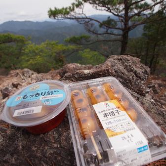 思ったより時間がかかり、ちょっと遅いお昼
今日はみたらしだんごパーティー