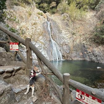 布引の滝　落差43ｍ　駅から直ぐに立派な滝🤩
