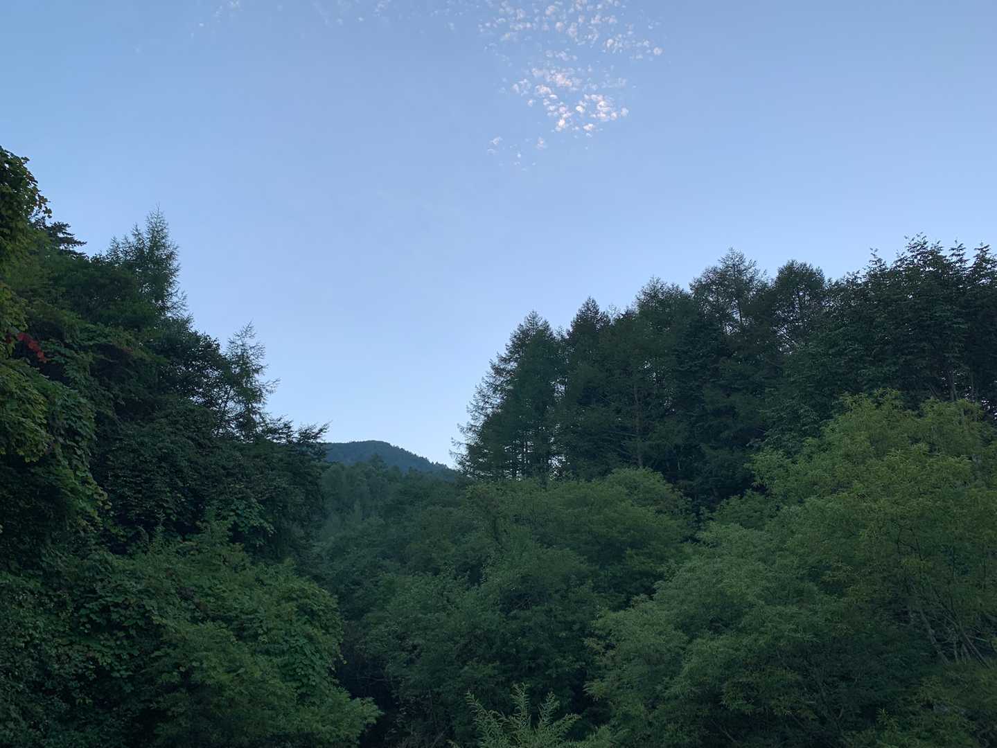 青空ー✨
もしかして、今日良い天気なんじゃない⁉️