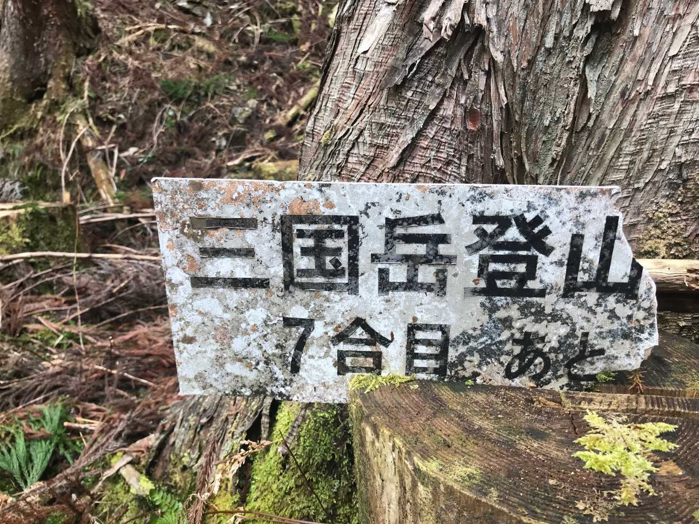 7合目から荒れてます😑