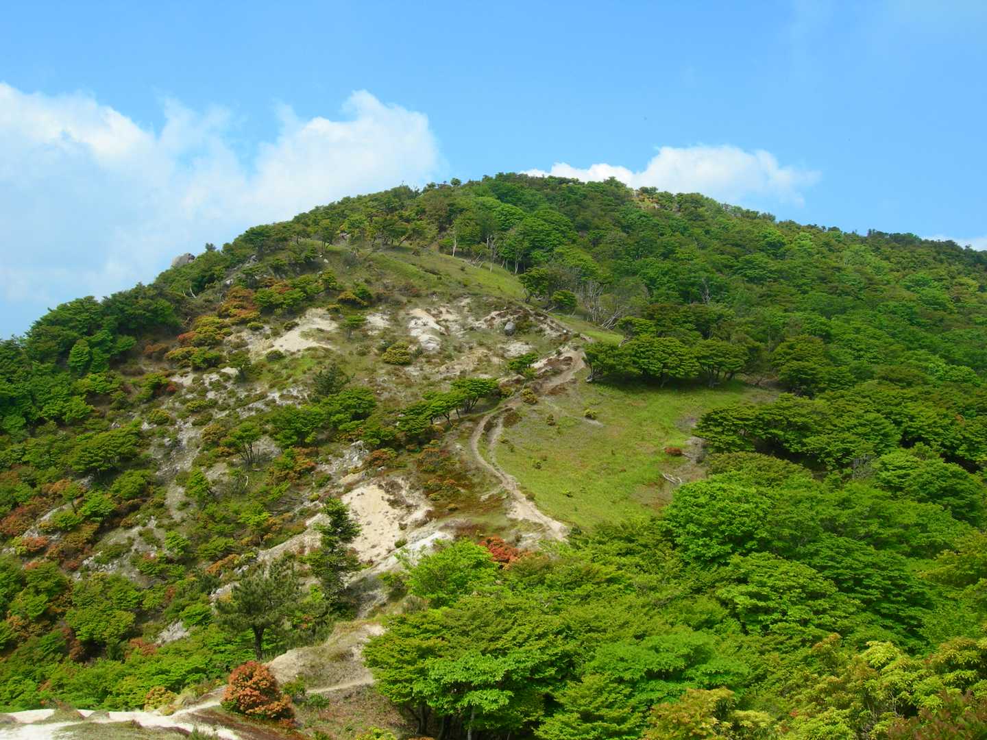 石榑峠-三池岳-八風峠-北仙香山-中峠 往復コースの写真