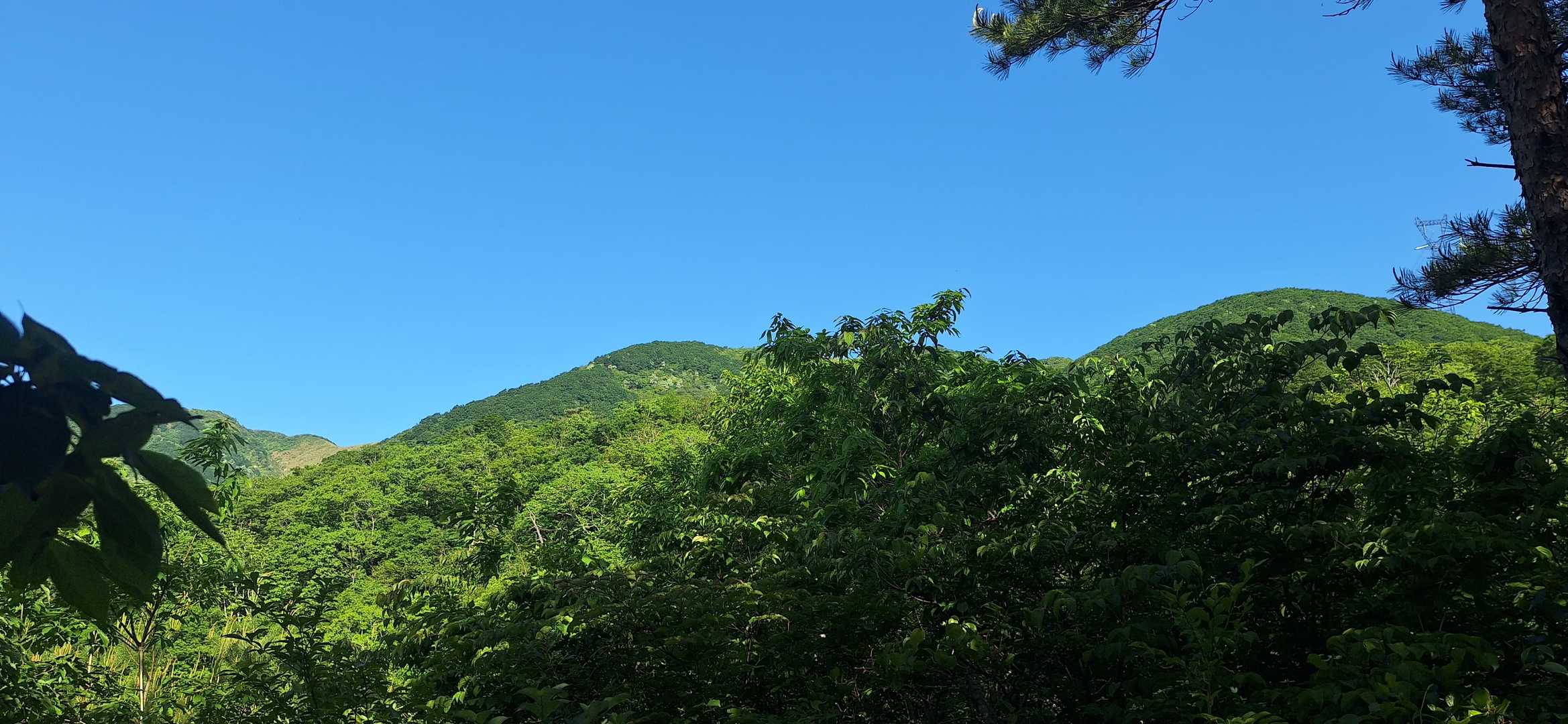 登山道から初めての赤坂山の山姿です👍