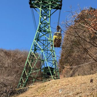 モンキー号
未だ宝登山で，ゴンドラ以外のモンキーやバンビには遭遇していない...