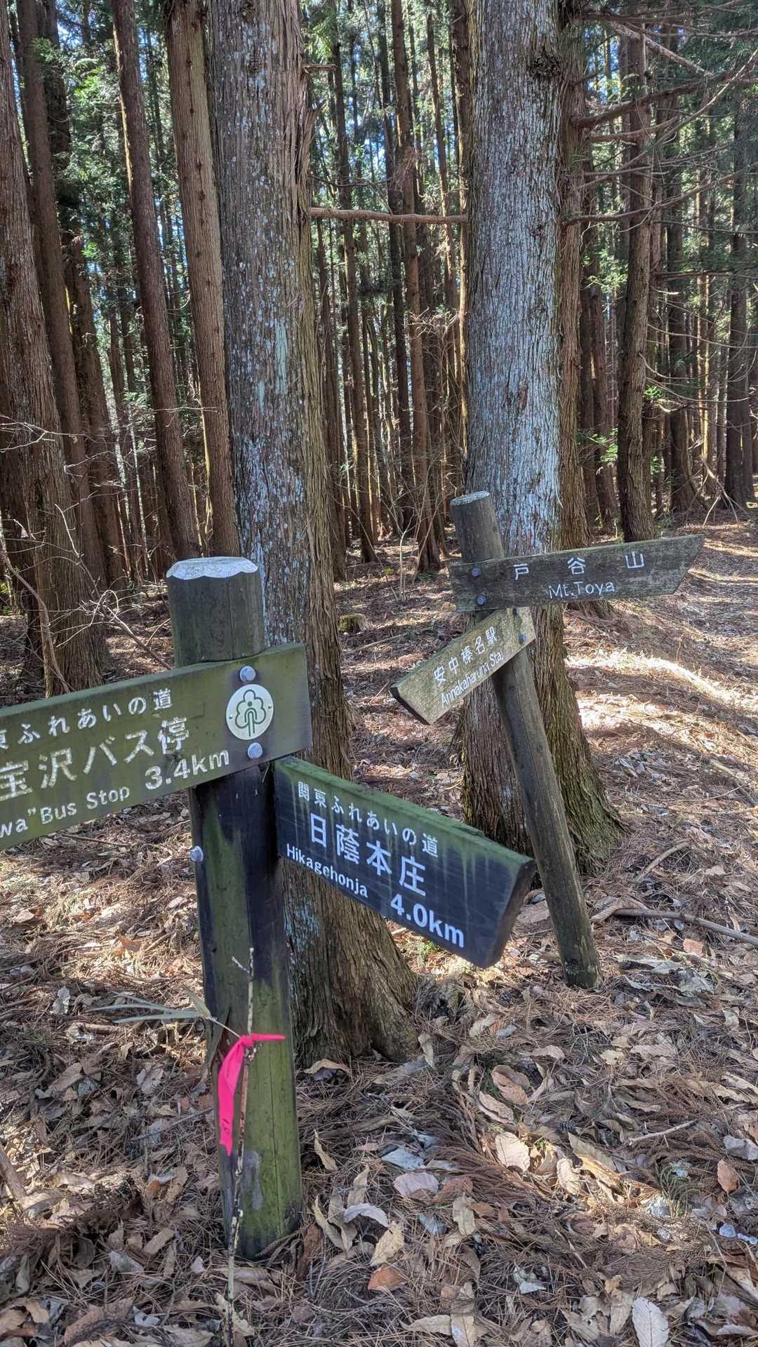 案内板、ここを右折して戸谷山へ✨