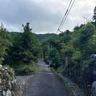民家の間を抜けて、坂道の舗装路を進む🚶🏻
すでに暑い🥵