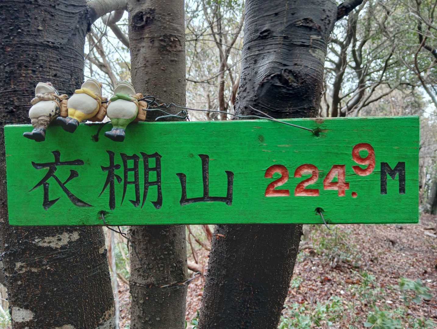 標識と同行者🐸🤔