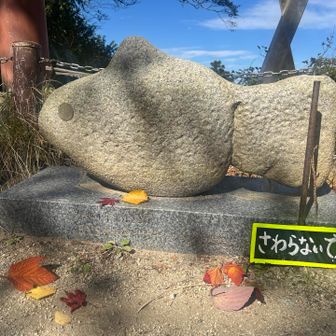 よくよくみたらサカナクション🐠