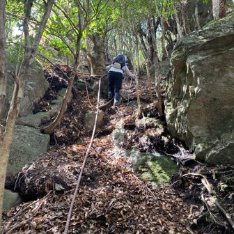 またきたー！今度はロープで登り上がる⤴️
ちゃんとゴムの手袋🧤にかえたら下りの恐怖より良かった