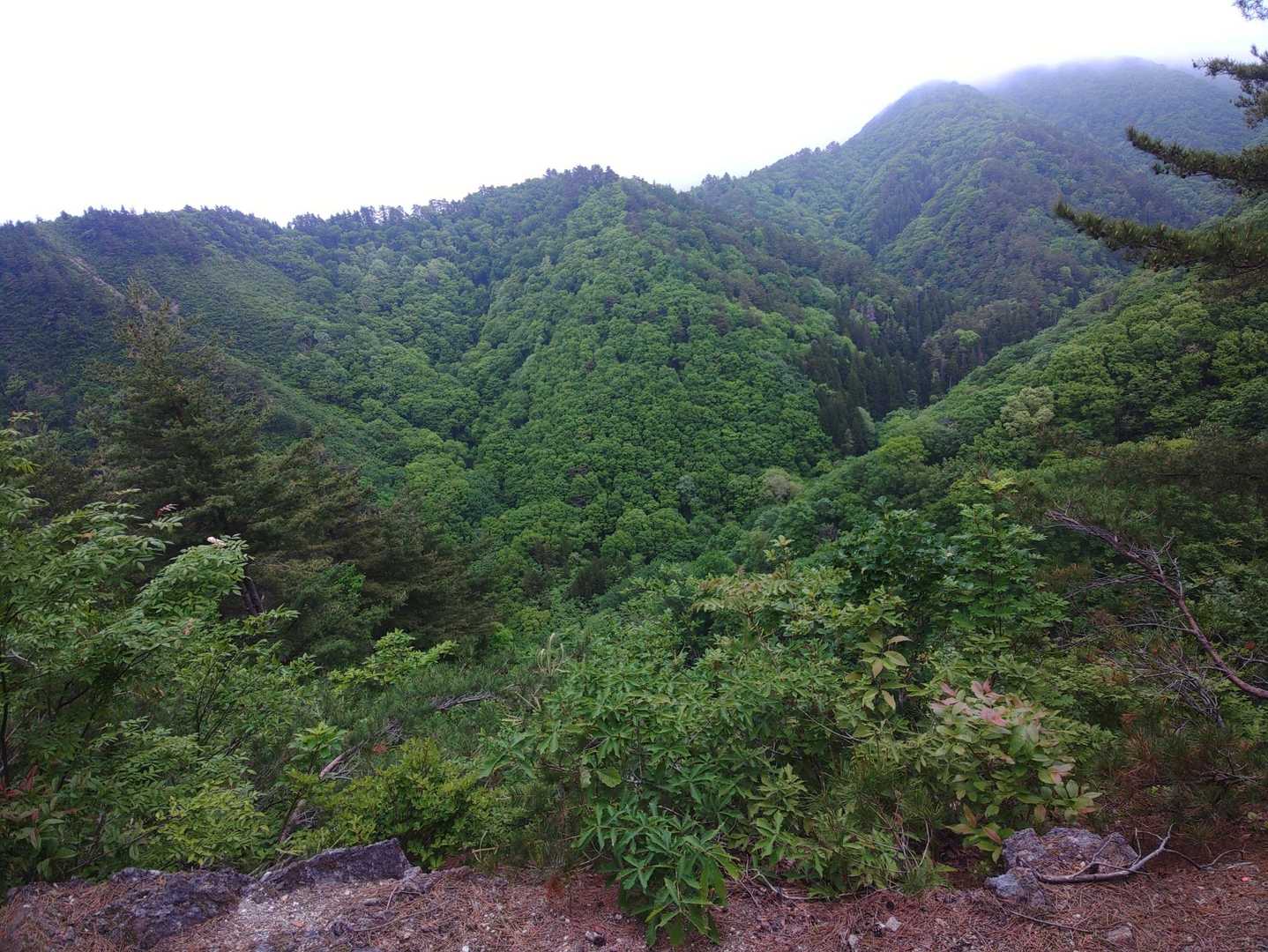 急登を登りきると恐竜のような岩があり展望もバツグン
