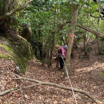 この後がヤバそう下が見えない