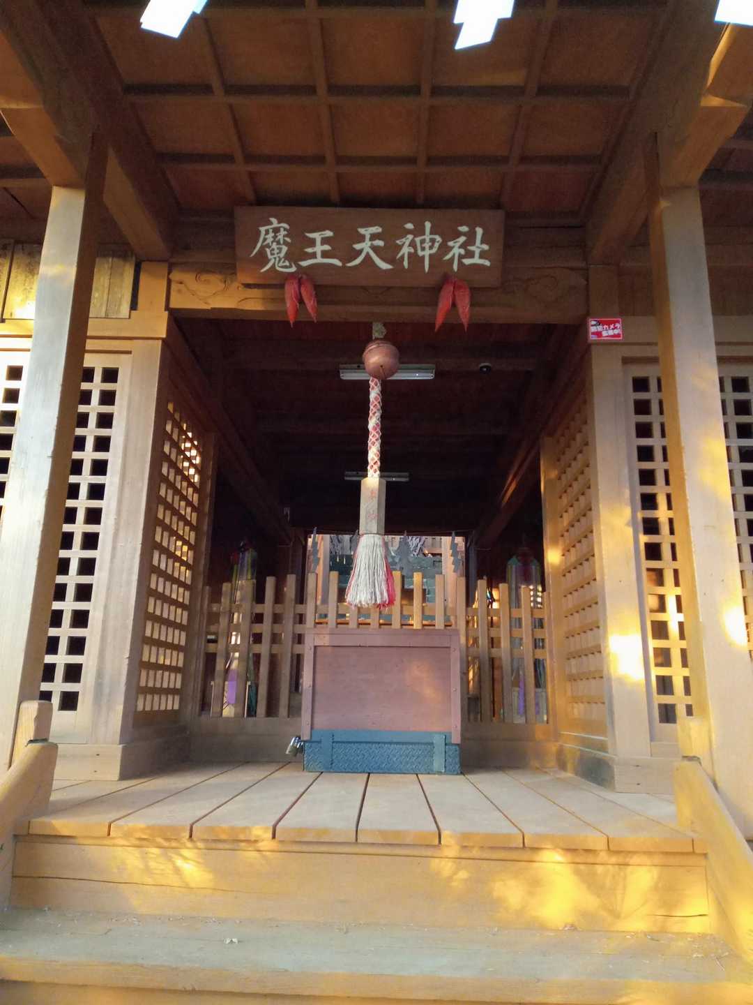 魔王天神社の裏から登ります🙋