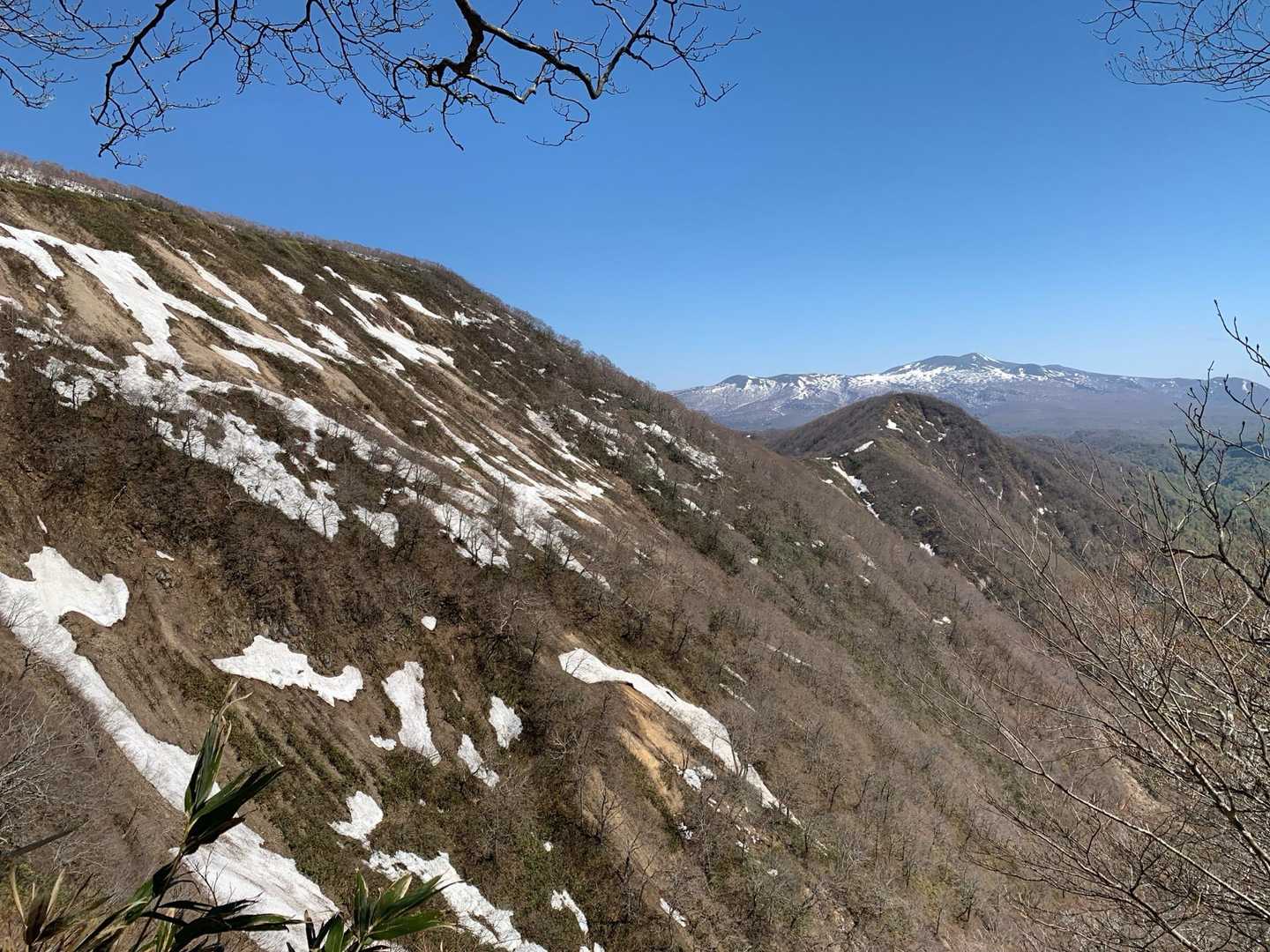 須金ゼブラの向こうに栗駒山🏔️