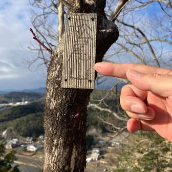 先の方にある木の幹にぶら下げられたプレートを発見。
めっちゃ小さいサイズ。指を添えて撮影。