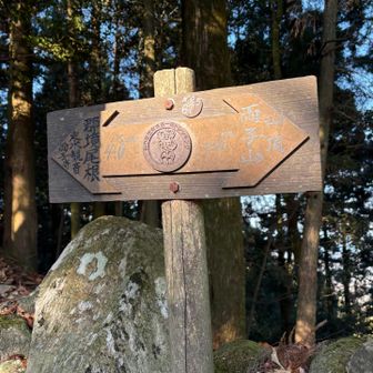 ちょこっと下ると看板が
さすがにサクッとあと4キロは無理。