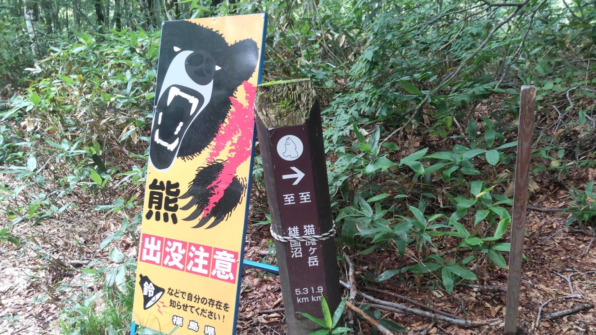 この熊…怖い💦