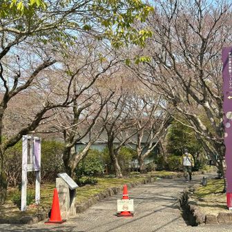 源氏物語ミュージアムの前を通過